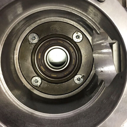 Lambretta oil seal flange screws kit